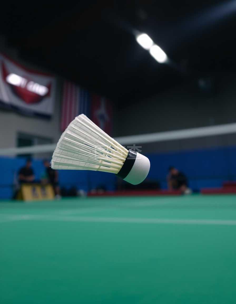 其速度与技 其速度与技